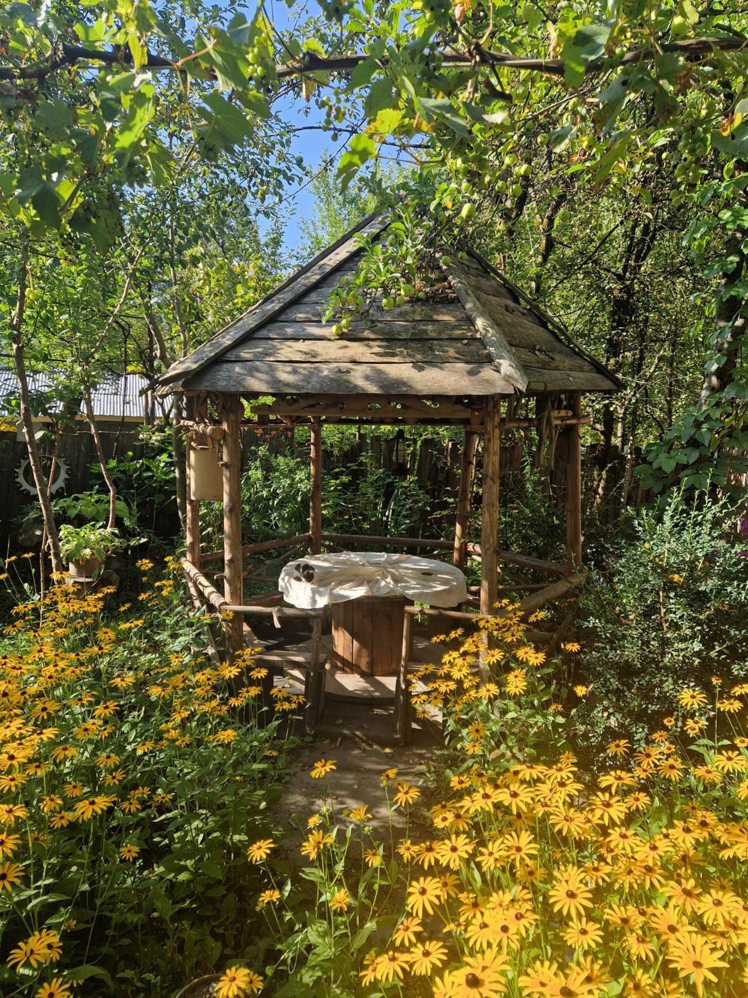 Guest House "Svaneti" Lentekhi المظهر الخارجي الصورة
