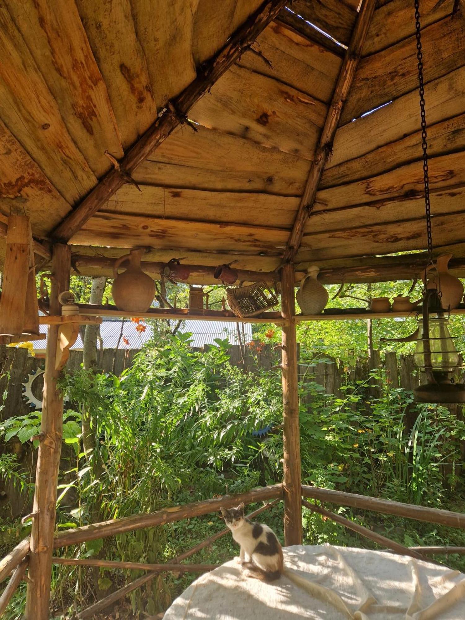 Guest House "Svaneti" Lentekhi المظهر الخارجي الصورة