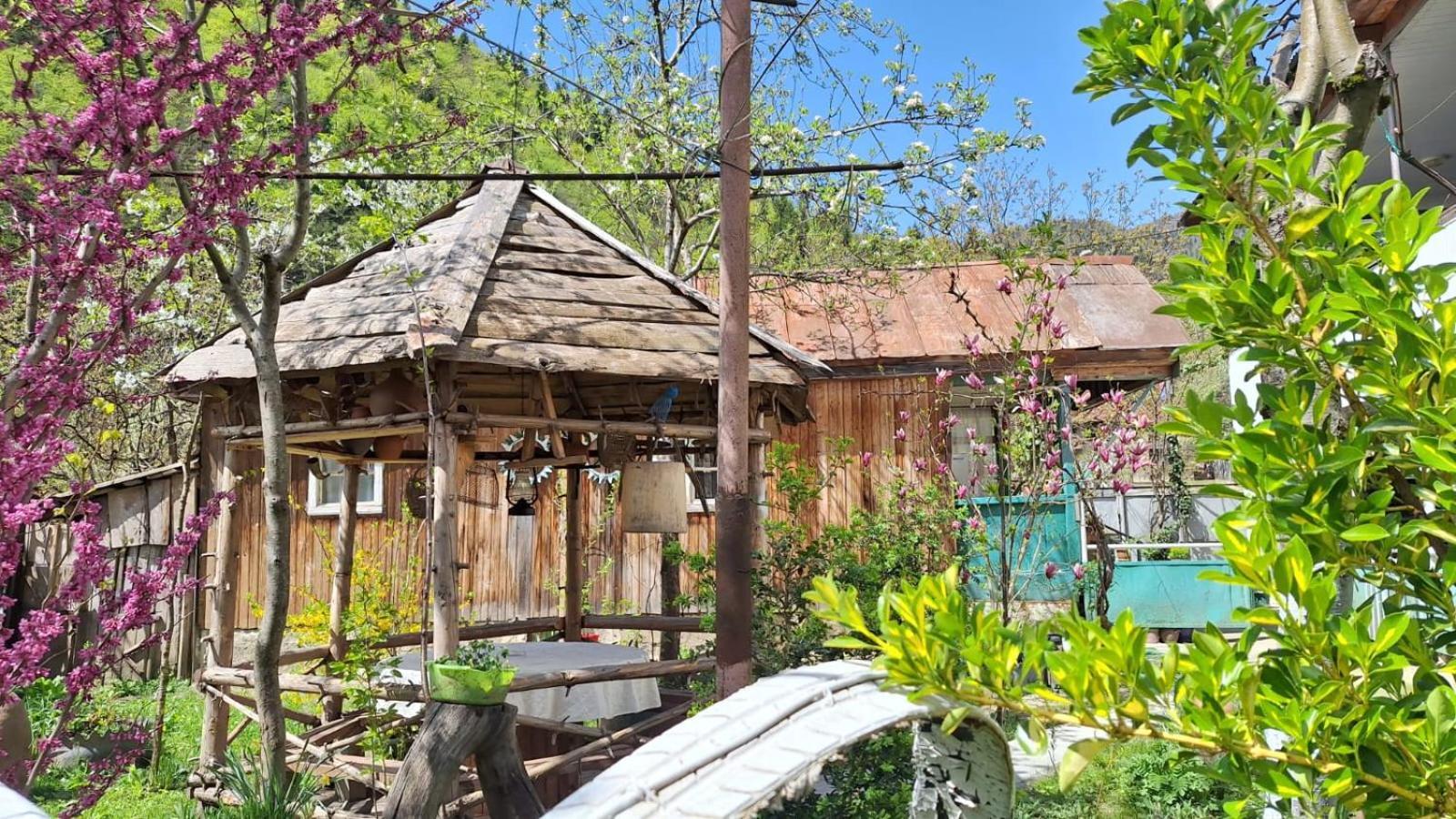 Guest House "Svaneti" Lentekhi المظهر الخارجي الصورة