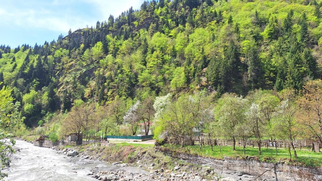 Guest House "Svaneti" Lentekhi المظهر الخارجي الصورة
