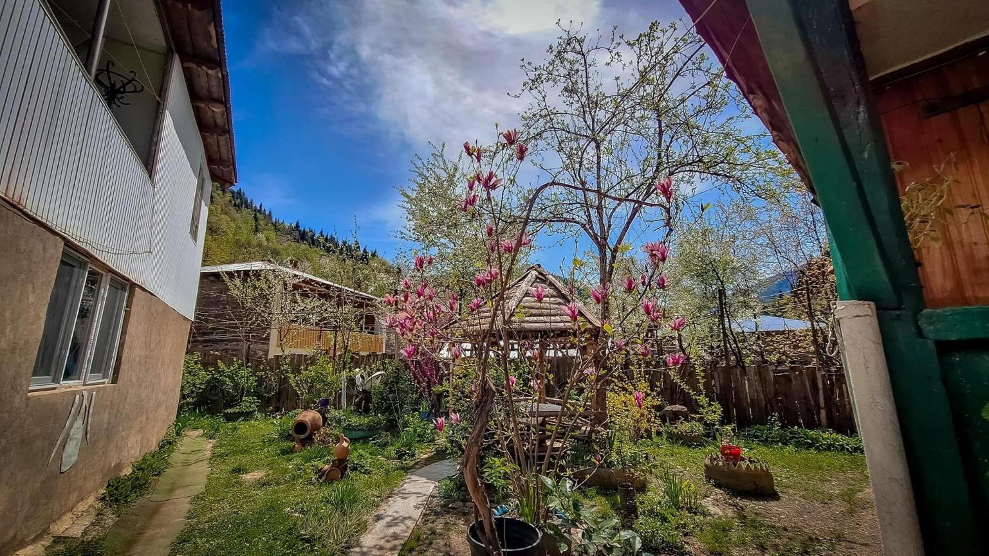 Guest House "Svaneti" Lentekhi المظهر الخارجي الصورة